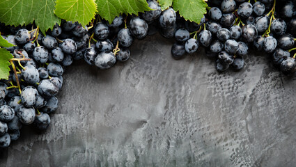 Frame made of grapes. Black juicy grapes on vintage dark concrete background. Copy space for text...