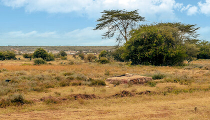 Landscape of Africa