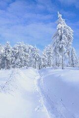 Winter mountain trail covered with snow. Blue sky over white mountains.