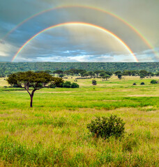 Landscape of Africa