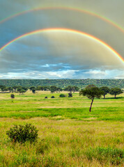 Landscape of Africa