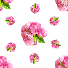 Fototapeta na wymiar Seamless floral pattern background, isolated on white. Spring blooming delicate purple flowers of almonds, cherries, roses, peonies. Beautiful design for card, wrapping paper, textile print, napkins
