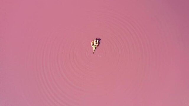 Aerial view of a man in the water on a pink lake. Man swims in pink water on a swim ring