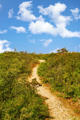 Le Hourdel. Sentier côtier. Somme. Picadie. Hauts de France	