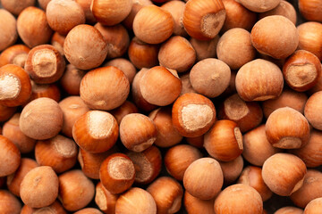Hazelnuts. Stack of hazelnuts. Food background. Hazelnut background