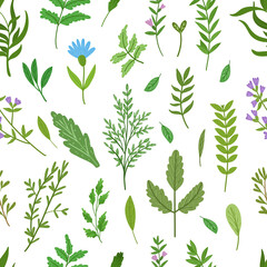 Wild herbs seamless pattern. Cartoon leaves,brunches,flowers,twig. Vector hand drawn illustration.
