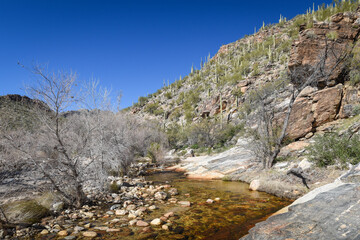 Beautiful Desert Landscape