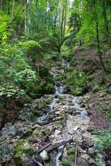 Bachlauf in den Alpen