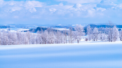 霧氷した木々と雪の丘　冬の北海道