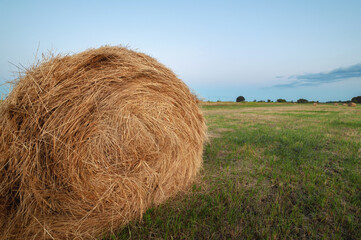 haystack on green field under the beautiful blue cloudy sky at  sunrise. foggy morning. summer (autumn) landscape