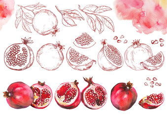 Set of pomegranate fruits on white background. - 411821989