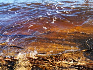 the sandy shore of Lake Ilmen waves the wind of the sky