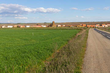 Fototapeta na wymiar Village with access road and cows grazing 