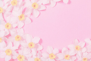 Fototapeta na wymiar white narcissus on pink paper background