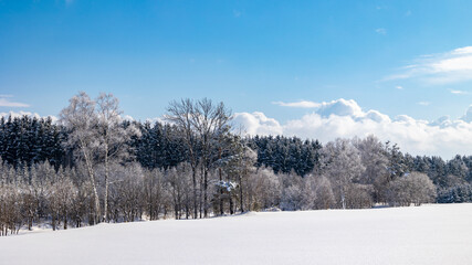 霧氷した木々と晴天の丘景色　冬の北海道