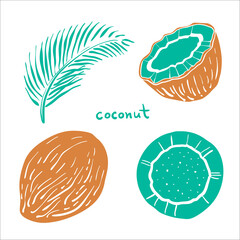 Coconut. Whole, half, leaf.  Colorful sketch collection of tropical fruits isolated on white background. Doodle hand drawn fruit icons. Vector illustration