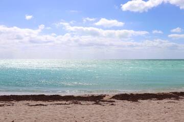 Serenity at the sea in Key West