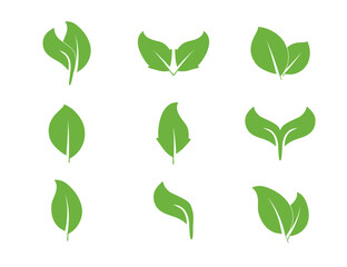 Eco, green, leaves icon set. Vector illustration.