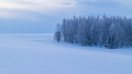 夜明け前の霧氷の森　北海道