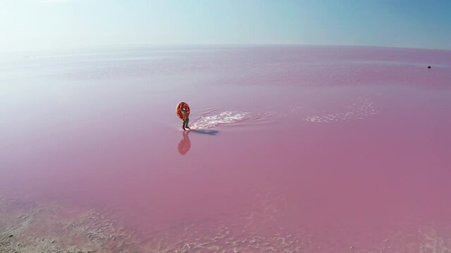Aerial view of a man in the water on a pink lake. Man swims in pink water on a swim ring