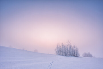 Winter landscape with fog. Warm cold sunrise landscape