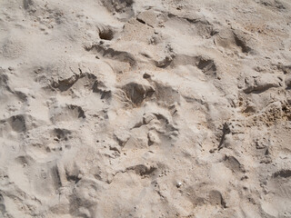 authentic sand beach nature outdoor at coast sea. for summer travel holidays concept.