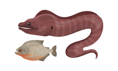 Fish from Deep Sea as Gill-bearing Aquatic Animals Vector Set