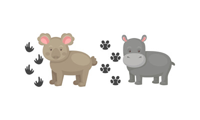 Obraz na płótnie Canvas Wild Animal with Hippo and Koala and Their Footprints Vector Set