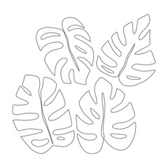Monstera leaves isolated on white background. Continuous one line drawing. Vector illustration in line art style.