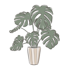 Monstera vector botanical illustration, Houseplants icons set. Houseplant vector flower set. Illustration for print, postcard, package design, clip art, web design isolated on white background. 