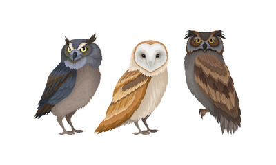 Different Species of Owls as Nocturnal Birds of Prey with Hawk-like Beak and Forward-facing Eyes Vector Set