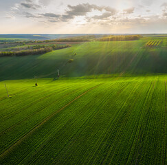Aerial view of beautiful countryside with green rolling field in golden hour before sunset..