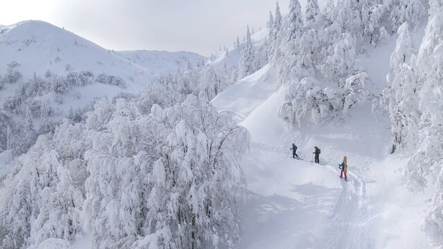 DRONE: Aerial view of pristine white mountain landscape surrounding ski tourers.