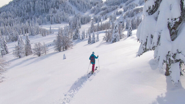 DRONE Flying around active woman on splitboarding trip crossing the snowy meadow