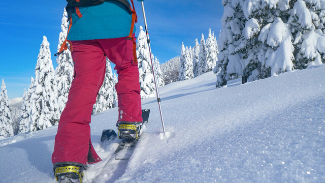 CLOSE UP: Unrecognizable woman on splitboarding trip treads fresh powder snow.