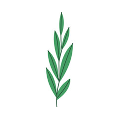 branch with leafs plant nature icon