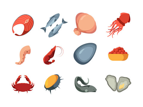 Seafood colored. Ocean delicious natural products marine fish squids oysters sliced crab garish exotic seafood vector pictures. Market and restaurant menu icins seafood illustration