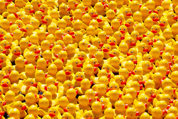 full frame shot of yellow rubber ducks