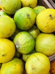 Citrus bergamia, the bergamot orange, for sale in supermarket. Bergamott.
