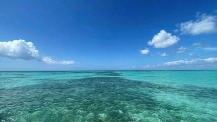 Fototapeta premium Ocean or sea calm water surface under a blue sky with a few clouds. View on the shore with a beach and tropical trees. Vacation resort paradise in summer time