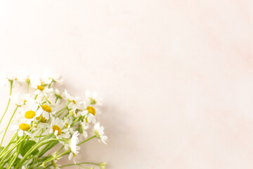 white spring flowers on the floor