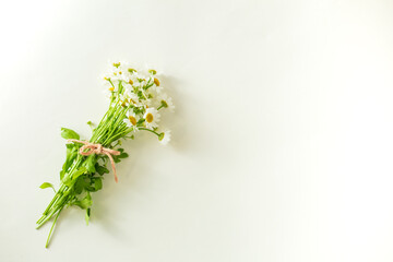 Bouquet of Matricaria flowers tied with string. - obrazy, fototapety, plakaty