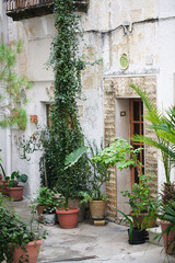 Fototapeta na wymiar a narrow vintage street with flower pots and ornamental plants in Grottaglie, Italy