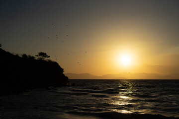 Fototapeta premium sunset mountain tree and birds in the sea