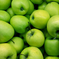 lot of fresh green apples, bright fruit background