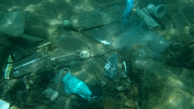 Dead Greater weever fish (Trachinus draco) hitting trapped in plastic bag lies inside plastic bag on the seabed among the medical face mask, plastic and other garbage. Plastic pollution of Ocean.  