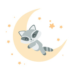 sleeping racoon on the moon on the white background