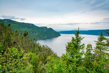 Fototapeta na wymiar Mountains flowing down into the fjord national park for a great view of the sea with trees and bush in the foreground in Quebec Province, Canada, from Notre-Dame-du-Saguenay track during a cloudy day