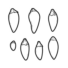 Little bitter peppers linear drawing on white background