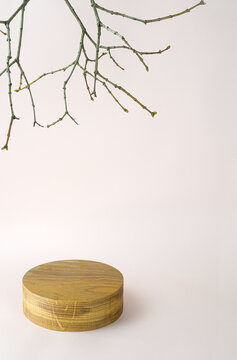 Background with wooden geometric shape podium and branches. Wooden round cylinder shape form for eco product. Empty showcase in minimal style. Abstract pastel mock up for cosmetic.